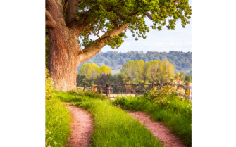 Englische Landschaft