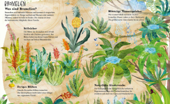 Innenseite Bromelien - der große Blütenzauber