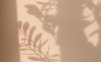 Schatten von Pflanzen an einer warm-leuchtenden Wand