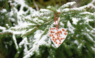 Vogelfutter DIY am Baum draußen