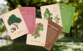 Bäume verschwommen im Hintergrund, im Vordergrund Orakelkarten