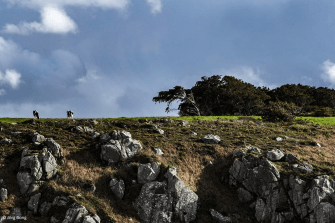 bei_pors_piron_cap-sizun