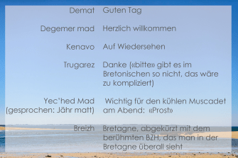 Vokabeln