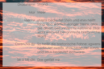 Vokabeln