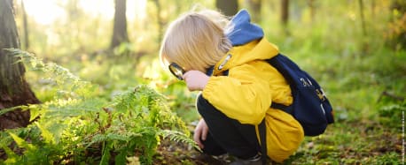 Ein Kind mit Regenjacke kniet im Wald auf dem Boden und beobachtet Farn durch eine Lupe