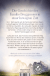 Zusatzmaterial 9783426527832 U4 von The Country Of Our Dreams: Roman von Anna Thaler