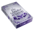 Zusatzmaterial PA 978 3 426 56332 8 innen 011 von The Darkest Academy 1 – Bones von Beril Kehribar