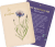 Zusatzmaterial PA 4036442011508 innen 015 von Die geheimnisvolle Sprache der Blumen – 50 Orakelkarten für das ganze Jahr