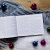 Zusatzmaterial PA 978 3 629 01556 3 innen 034 von New York Love Story - Weihnachten mit dir von Josi Wismar, Jessica Wismar