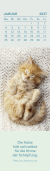 Zusatzmaterial PA 4036442014868 innen 011 von Lesezeichenkalender 2027: Katzenfreunde