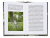 Zusatzmaterial PA 978 3 426 65872 7 innen 04 von Our Five Sacred Trees: Meditieren und heil werden in der Natur von Dr. Wolf-Dieter Storl