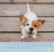 Zusatzmaterial PA 4036442014653 innen 011 von Wandkalender 2027: Für Hundefreunde