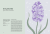 Zusatzmaterial PA 978 3 8485 0381 0 innen 012 von Die Welt der Blumen: Vergessene Weisheiten zauberhafter Blüten und Kräuter von Alison Davies, Sarah Wildling