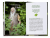 Zusatzmaterial PA 978 3 426 65872 7 innen 05 von Our Five Sacred Trees: Meditieren und heil werden in der Natur von Dr. Wolf-Dieter Storl