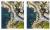 Zusatzmaterial PA 978 3 8485 0266 0 innen 015 von Finde die Unterschiede: Bird View Edition von Stefan Heine