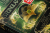 Zusatzmaterial PA 978 3 426 56860 6 detail 037 von Steingladiole. Erde vergisst nie: Roman von Liza Grimm