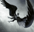 Zusatzmaterial U2 978 3 426 44796 3 von A Whisper of Wings: Roman von Carina Schnell