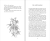 Zusatzmaterial PA 978 3 96340 278 4 innen 017 von When the heart shines: Geschichten für Sinnsucher von Hans Kruppa