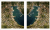 Zusatzmaterial PA 978 3 8485 0266 0 innen 013 von Finde die Unterschiede: Bird View Edition von Stefan Heine