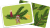 Zusatzmaterial PA 4260308346538 innen 013 von Bäumchen, schmück dich!: Ein Kartenspiel für die ganze Familie von Michael Feldkötter, Juliane Zickelbein