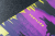 Zusatzmaterial PA 978 3 426 56819 4 detail 037 von Totensee: Thriller von Sophie Czerny