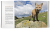 Zusatzmaterial PA 978 3 426 21452 7 innen 07 von Ayla - meine ungewöhnliche Freundschaft mit einem jungen Fuchs von Silje Elin Matnisdal, Leiv Magnus Grøtte