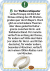 Zusatzmaterial PA 4036442009819 innen 006 von Wer hätte das gedacht?! Das Unnützes-Wissen-Quiz Weiß-Blau von Susanne Lieb