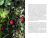 Zusatzmaterial PA 978 3 96340 208 1 innen 020 von Happiness grows in the garden: Es braucht nicht viel, um gut zu leben von Bruder Felix Weckenmann, Christoph Fasel