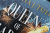 Zusatzmaterial PA 978 3 426 56090 7 detail 036 von Queen of Shadows and Ruin: Das Nachtfeuer-Quartett 4 von Nisha J. Tuli