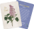 Zusatzmaterial PA 4036442011508 innen 013 von Die geheimnisvolle Sprache der Blumen – 50 Orakelkarten für das ganze Jahr