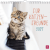 Produktbild von Wandkalender 2027: Für Katzenfreunde