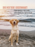 Zusatzmaterial PA 978 3 8485 0234 9 innen 013 von Hunde sind die besten Freunde