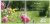 Zusatzmaterial PA 978 3 8485 0163 2 innen 014 von Was ich dir wünsche zum 70. Geburtstag: Edles Geschenkbuch mit Kurztexten, Glückwünschen und festlichen Fotografien für Frauen und Männer zum runden Geburtstag