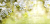 Zusatzmaterial PA 978 3 8485 0400 8 innen 014 von Zur Goldenen Hochzeit die besten Wünsche