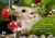 365 mal tierisch gut drauf! Zusatzmaterial 2