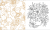Zusatzmaterial PA 4036442012925 innen 014 von Zauberhafte Blumenträume: Ausmalbuch zum Entspannen