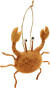 Produktbild von Küstenschätzchen, Krabbe
