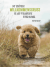 Zusatzmaterial PA 978 3 8485 0234 9 innen 011 von Hunde sind die besten Freunde