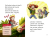 Zusatzmaterial PA 978 3 7373 3642 0 innen 001 von Duden Leseprofi – Dino-Baby in großer Gefahr, 1. Klasse von Sabine Stehr, Pascal Nöldner