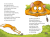 Zusatzmaterial PA 978 3 7373 3480 8 innen 011 von Suddenly a Cat! Reading Expert - Second Grade von Antje Lehbrink, Marek Bláha