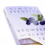 Zusatzmaterial PA 978 3 8052 0129 2 innen 033 von BLACKBERRY BLUE DAYS von Simone Veenstra