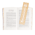 Zusatzmaterial PA 978 3 499 01760 5 innen 036 von Cursed for Good – Eine Prinzessin. Ein Pirat. Und ein verfluchter Buchladen. von Amy Coombe