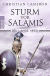 Buchcover von Der Lange Krieg: Sturm vor Salamis:   von Christian Cameron