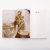 Zusatzmaterial PA 978 3 499 01151 1 innen 032 von The Darkest Gold – Die Verräterin von Raven Kennedy