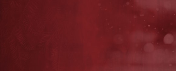 David Safier: Miss Merkel. Mord unterm Weihnachtsbaum