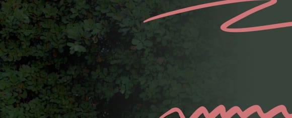 Sarah Kuttner: Mama und Sam