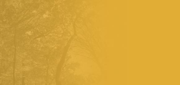 Hans Rosenfeldt: Die Farm der Mädchen. argon hörbuch