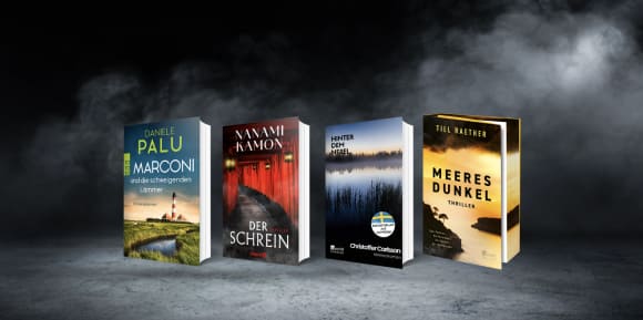 Vier Kriminalromane und Thriller stehen nebeneinander vor einem dramatischen, dunkelgrauen Hintergrund mit aufsteigenden Nebelschwaden.