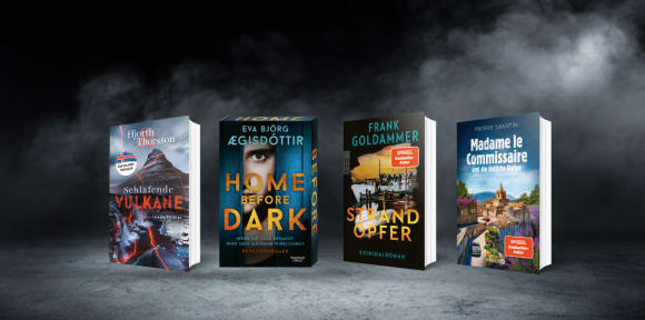 Vier verschiedene Kriminalromane und Psychothriller stehen nebeneinander vor einem dramatischen, dunkelgrauen Hintergrund mit dichten Nebelschwaden.
