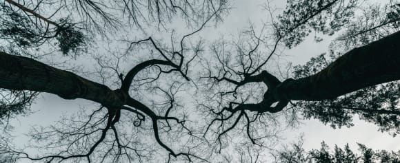Wenn mir Fitzek gefällt, was lesen? Die besten Psychothriller-Alternativen von Droemer Knaur